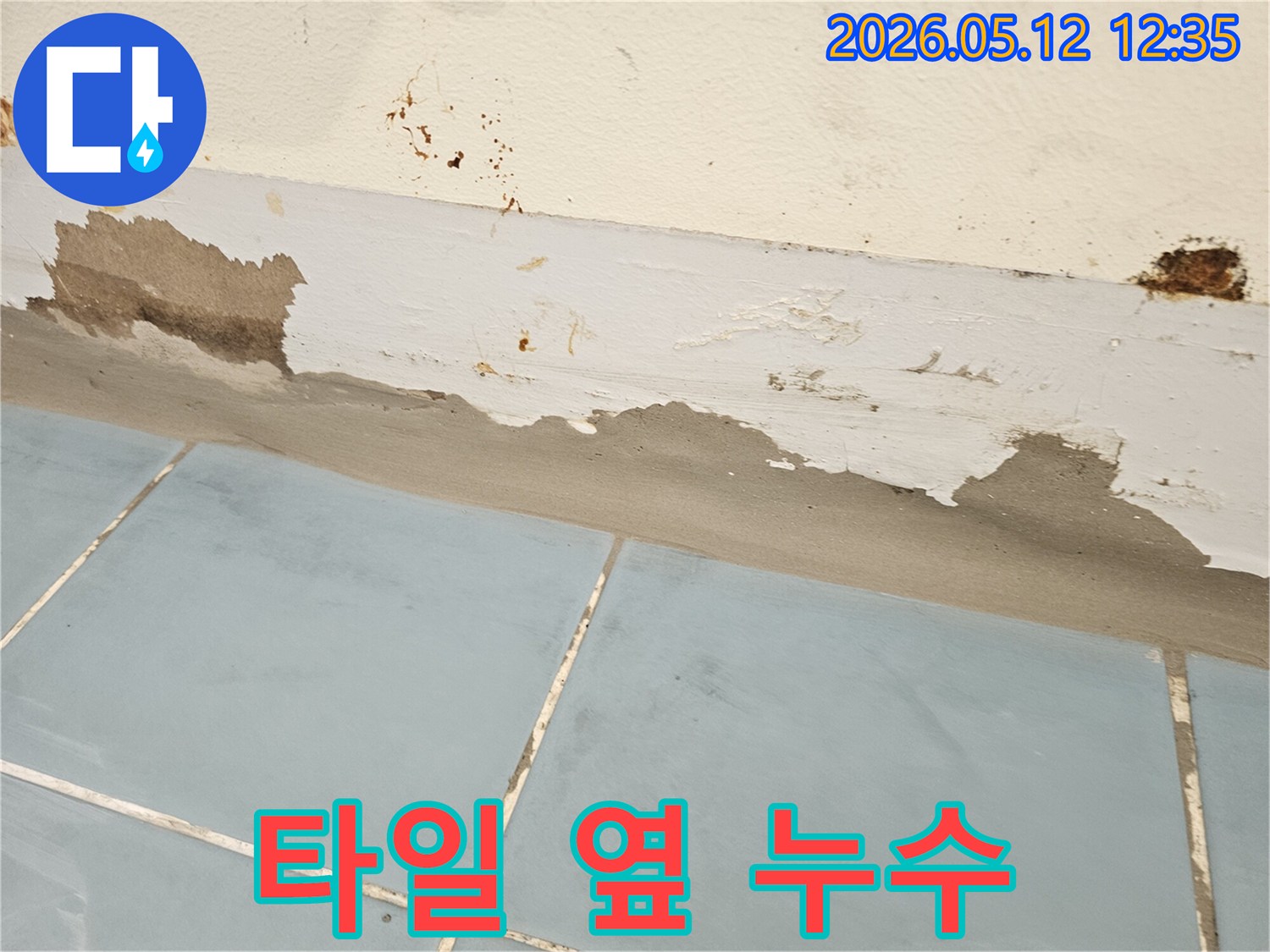 타일 옆 벽면이 젖어-페인트가 들뜨고-곰팡이가 생긴-누수 현장의-구체적인 모습입니다