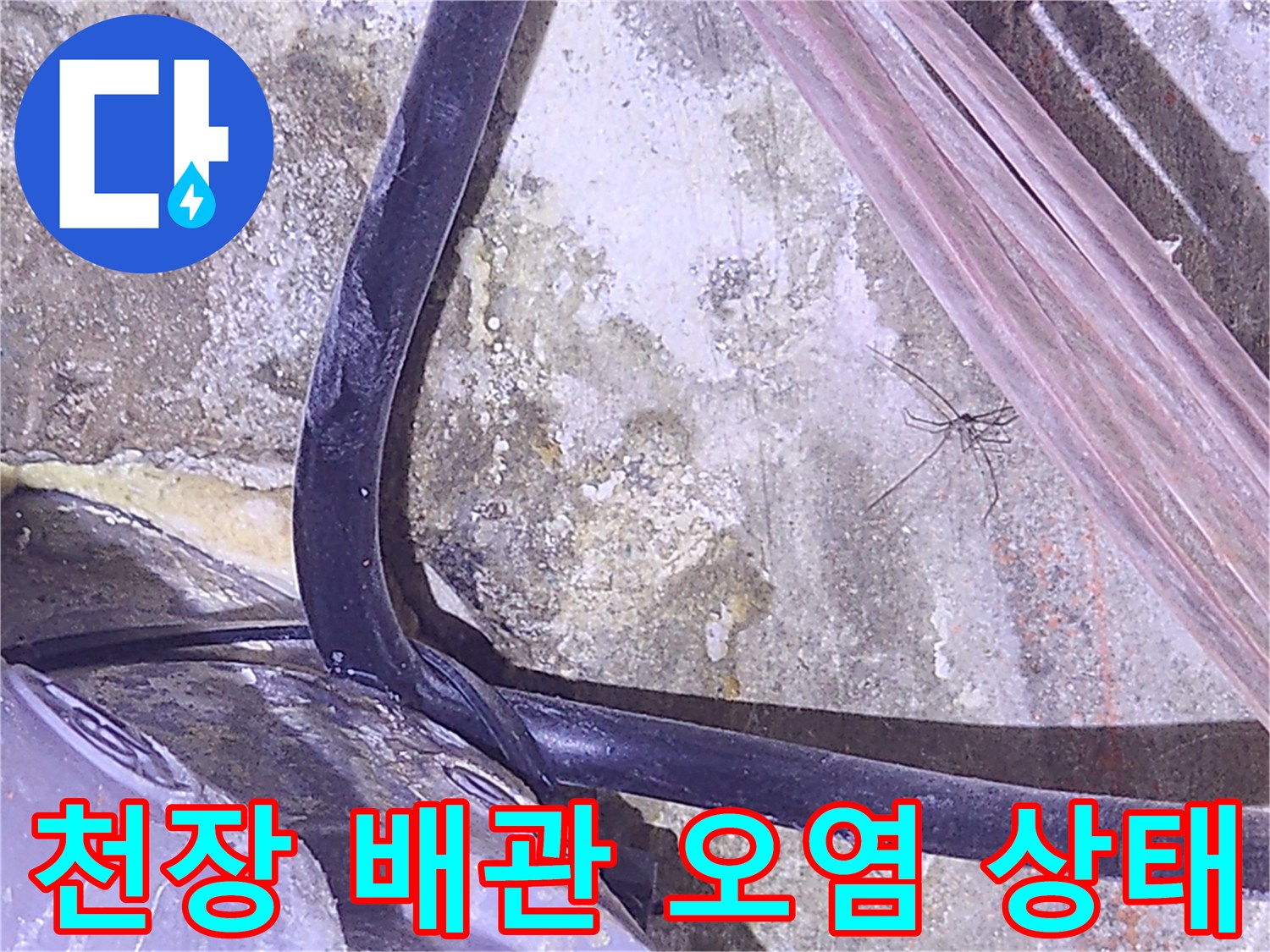 대전 괴정동-천장 내부 배관 주변의 습기와 오염 확인