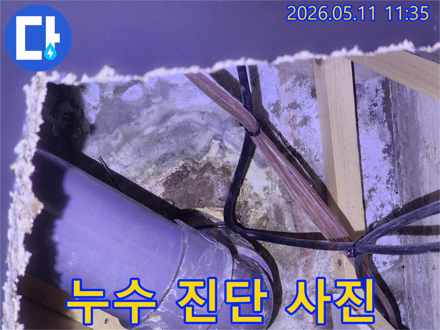 천장-개구부를-통해-확인된-배관-누수-현장의-심각한-곰팡이-번식-모습을-촬영한-사진입니다.