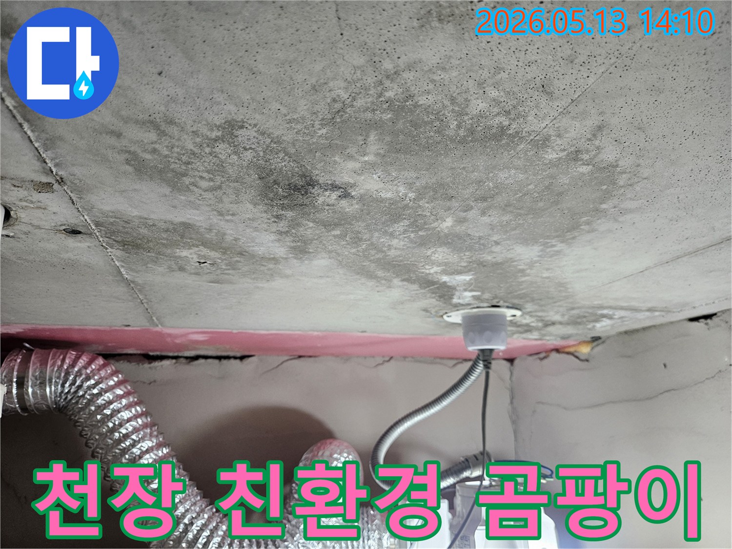 누수로 인해 천장 콘크리트에-발생한 곰팡이와 물얼룩을-보여주는 현장 사진이며-친환경 곰팡이 제거가 필요합니다