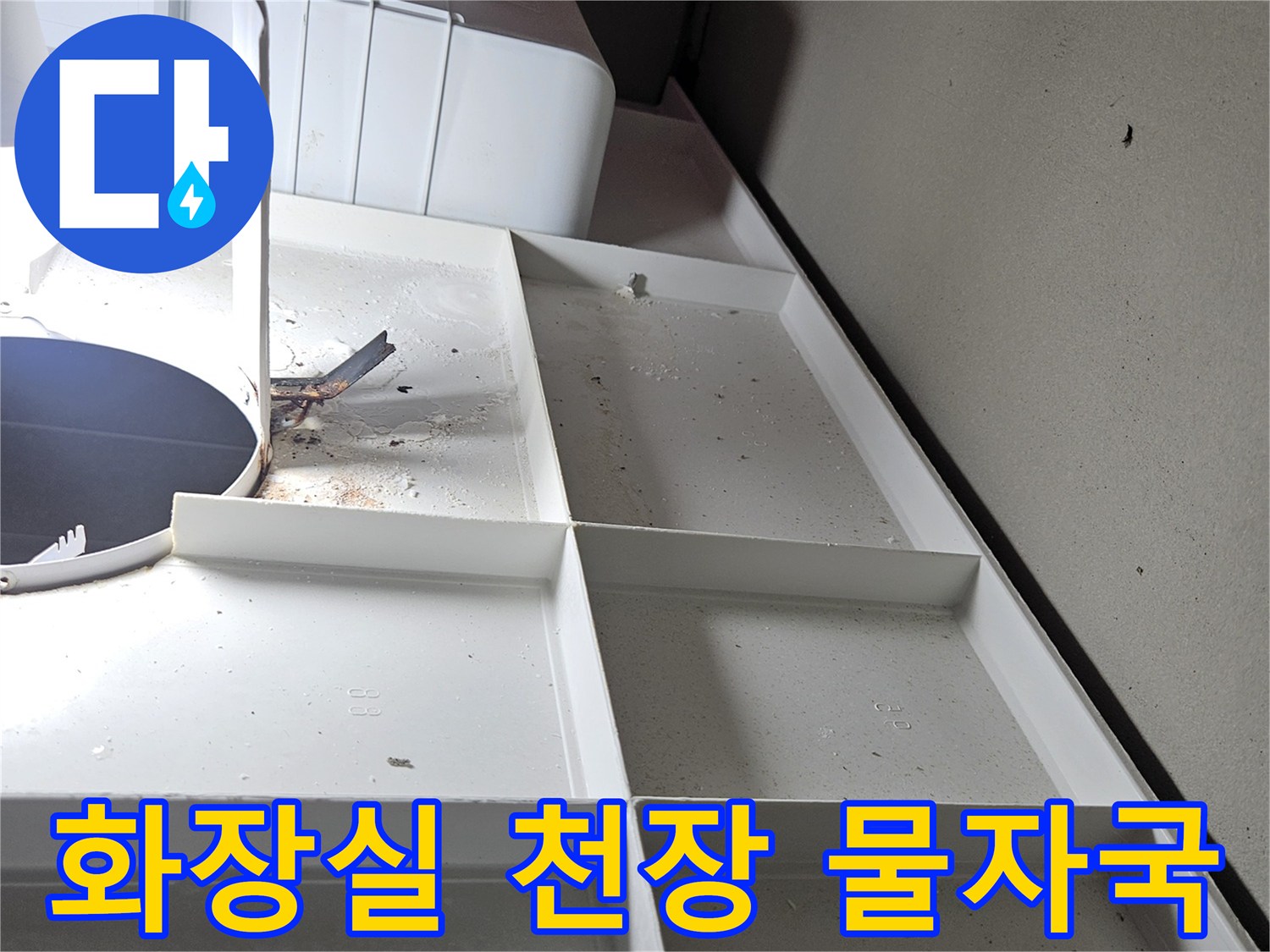 서산 성연면 아파트-화장실 천장에 나타난 젖은 흔적과 곰팡이