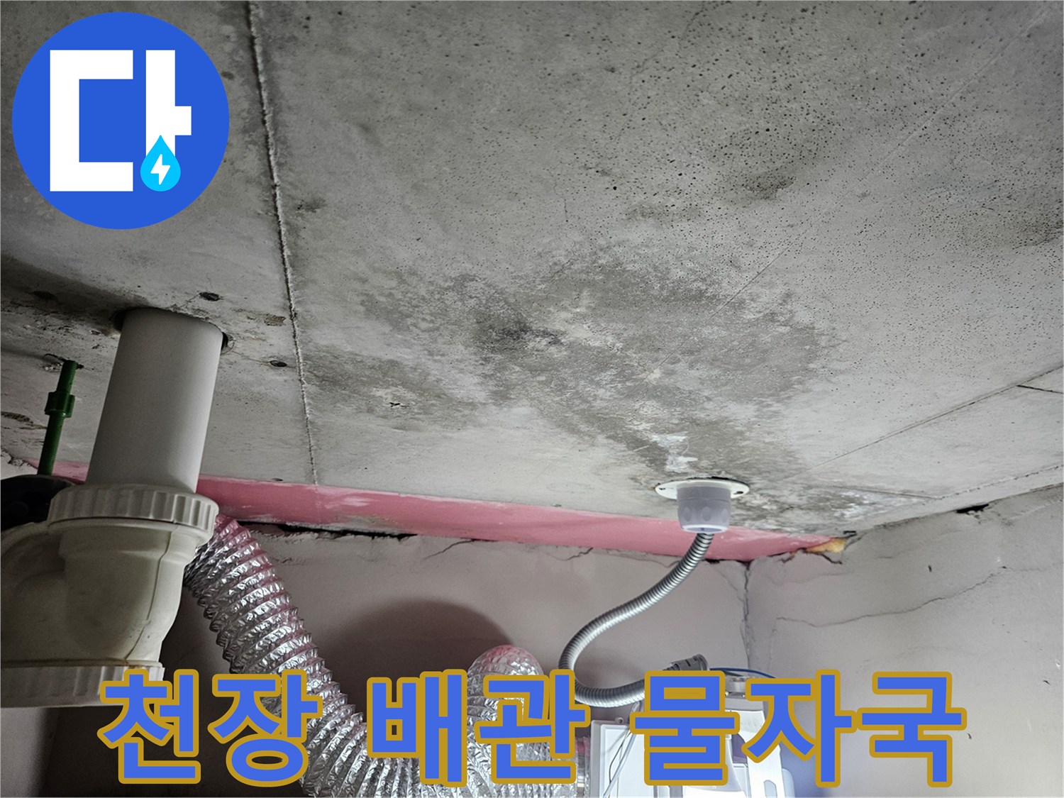 아파트-화장실-천장-배관-주변-물자국-및-곰팡이-상태