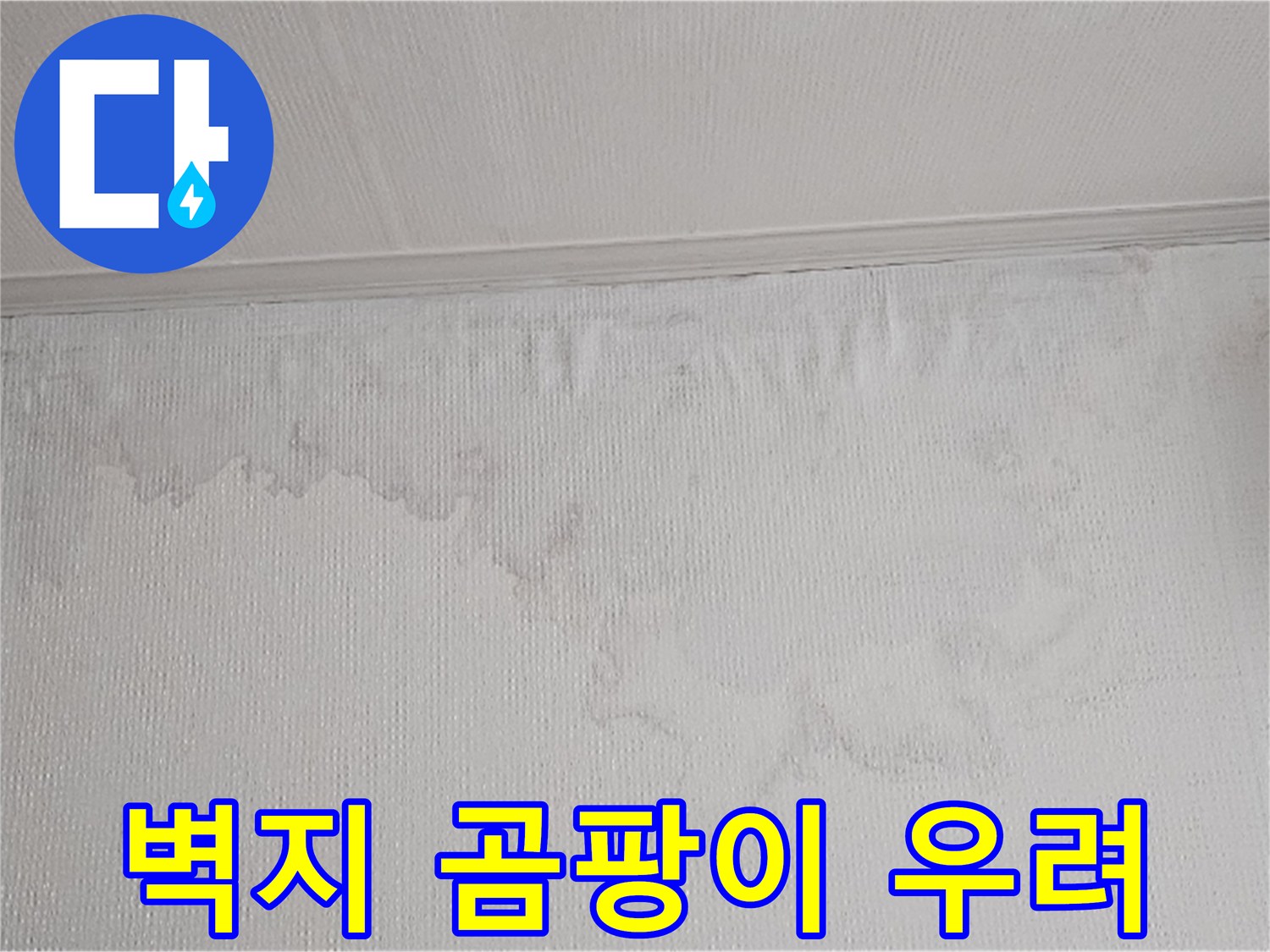 물이 새어 벽지가 젖고 곰팡이가 생길 수 있는 환경입니다-건강과 건물의 안전을 위해 빠른 조치가 필요합니다