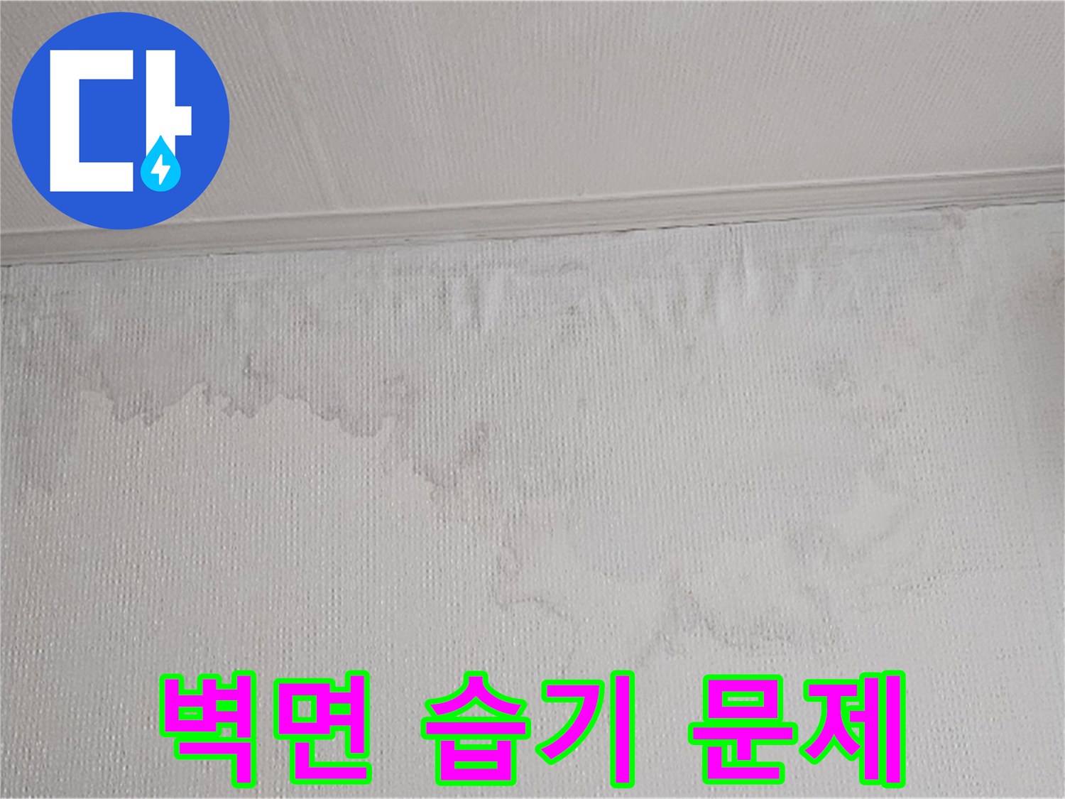 벽면에 나타난 물 얼룩과 벽지 손상은 누수의 명확한 증거입니다-전문 장비를 이용한 정밀 탐지가 필수입니다