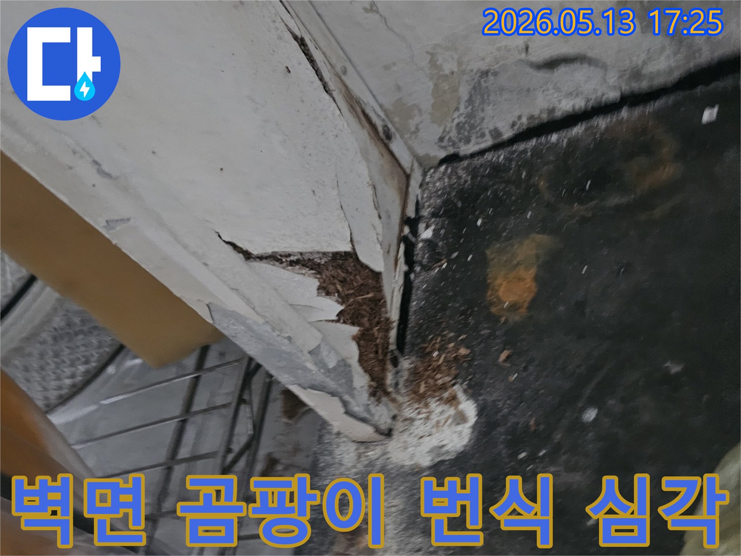 천장 누수로 인해 벽면 페인트가 벗겨지고-심각하게 곰팡이가 번식한 현장 모습입니다-누수 보수와 곰팡이 제거 작업이 시급합니다