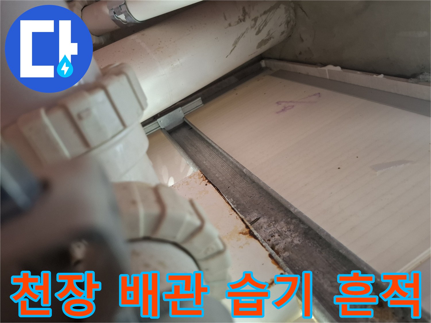 PVC 배관과 천장 구조물 사이의 젖은 부위를 클로즈업한 사진입니다.