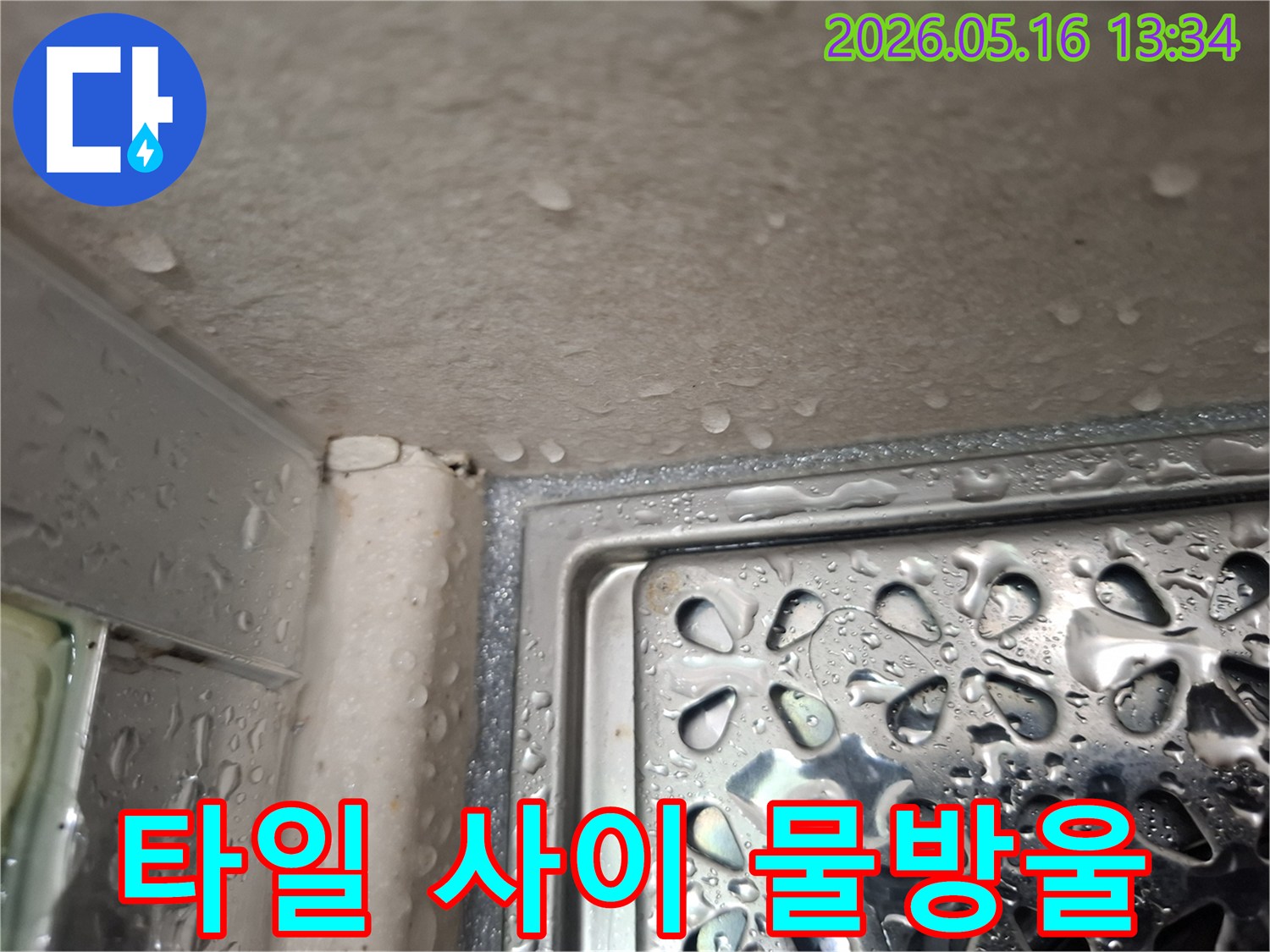 사진은 샤워실 타일 사이와 배수구 근처에 맺힌 물방울을 보여주며-누수 징후를 명확히 나타냅니다.