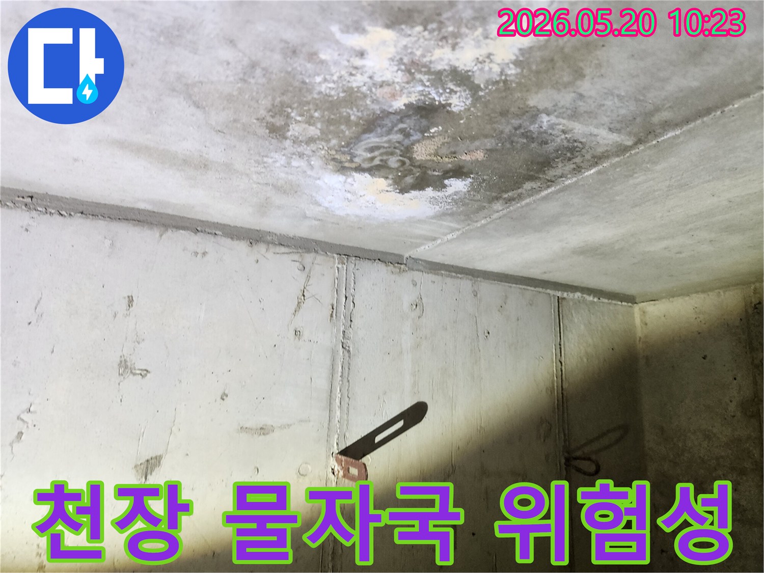 누수로 인해 천장에 생긴-물자국과-곰팡이의 확산 위험성을 보여주는 모습