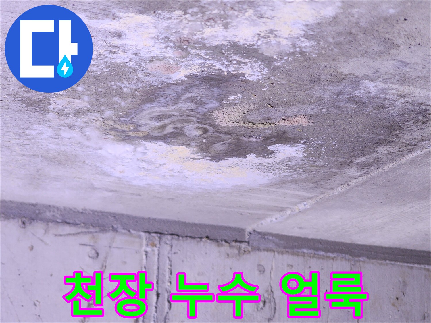 동탄 현장-물에 젖어 변색된 천장 콘크리트 부위