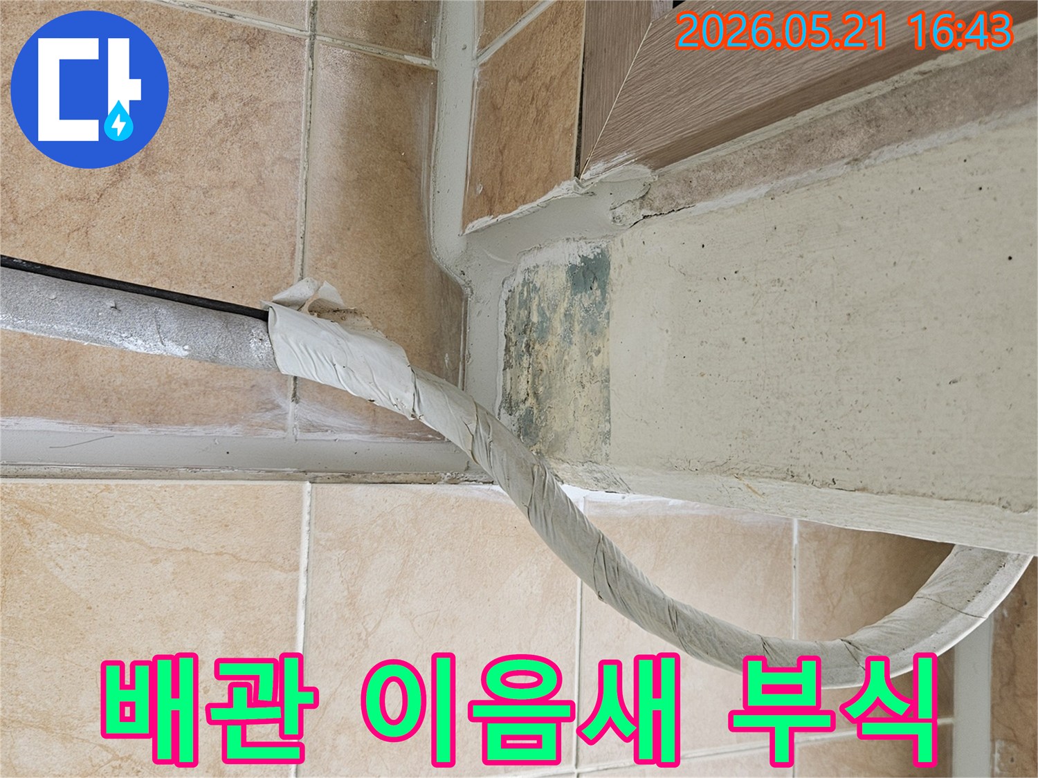 이 이미지는-포천 아파트의-벽면 하단에-발생한-녹색 곰팡이와-단열 처리된-배관의-이음새 부분을-보여주며-배관 부식-가능성을-시사합니다