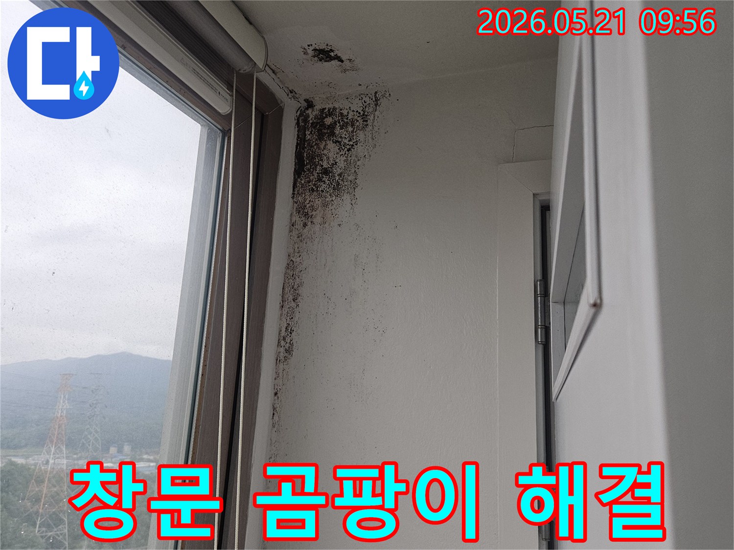 창문 상단 벽과 천장 모서리에 번식한-검은 곰팡이-습기-누수-피해 현장