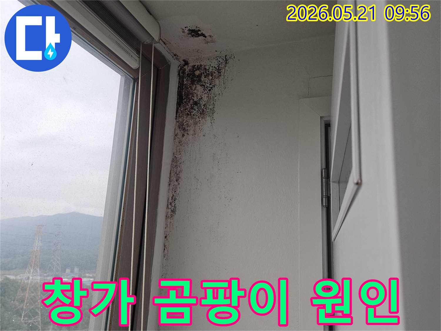 창문 상단 벽과 천장 모서리에 심각하게 번식한-검은 곰팡이-습기-누수-피해 현장