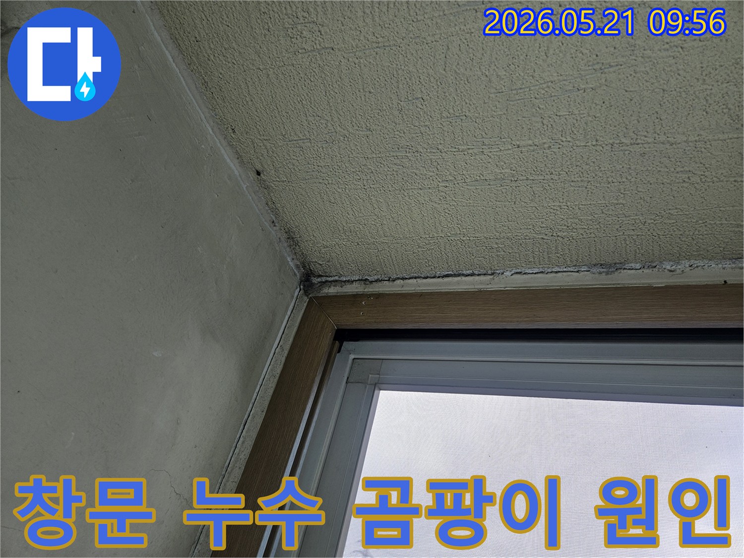 창문 주변 벽면에 발생한-곰팡이와-물기로 인한 손상을 보여주는-아파트 내부 벽의 모습