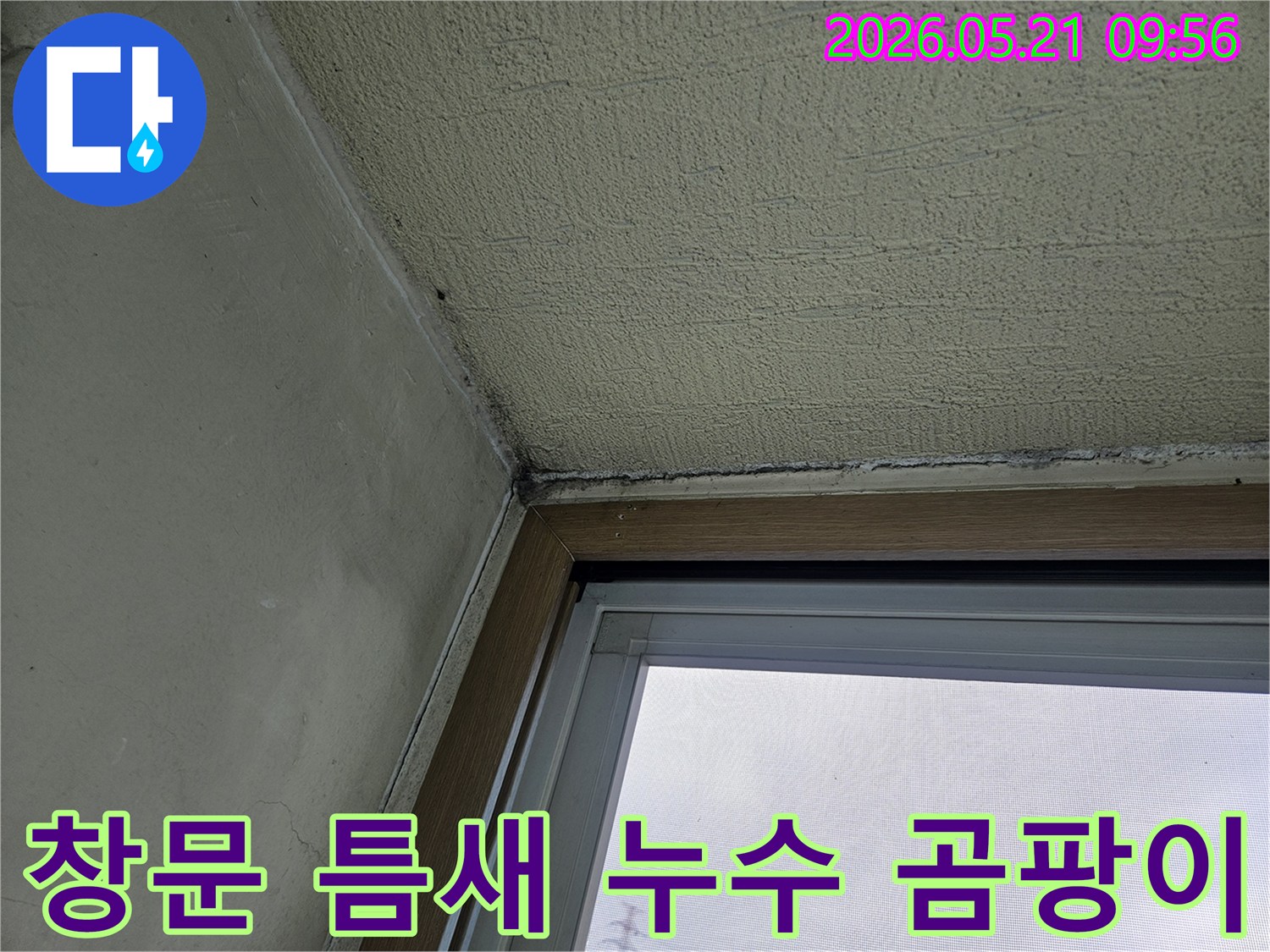 창문 하단과 벽이 만나는 지점에-발생한 곰팡이와-물기로 인한 손상을 보여주는-주택 내부 벽면의 클로즈업 사진