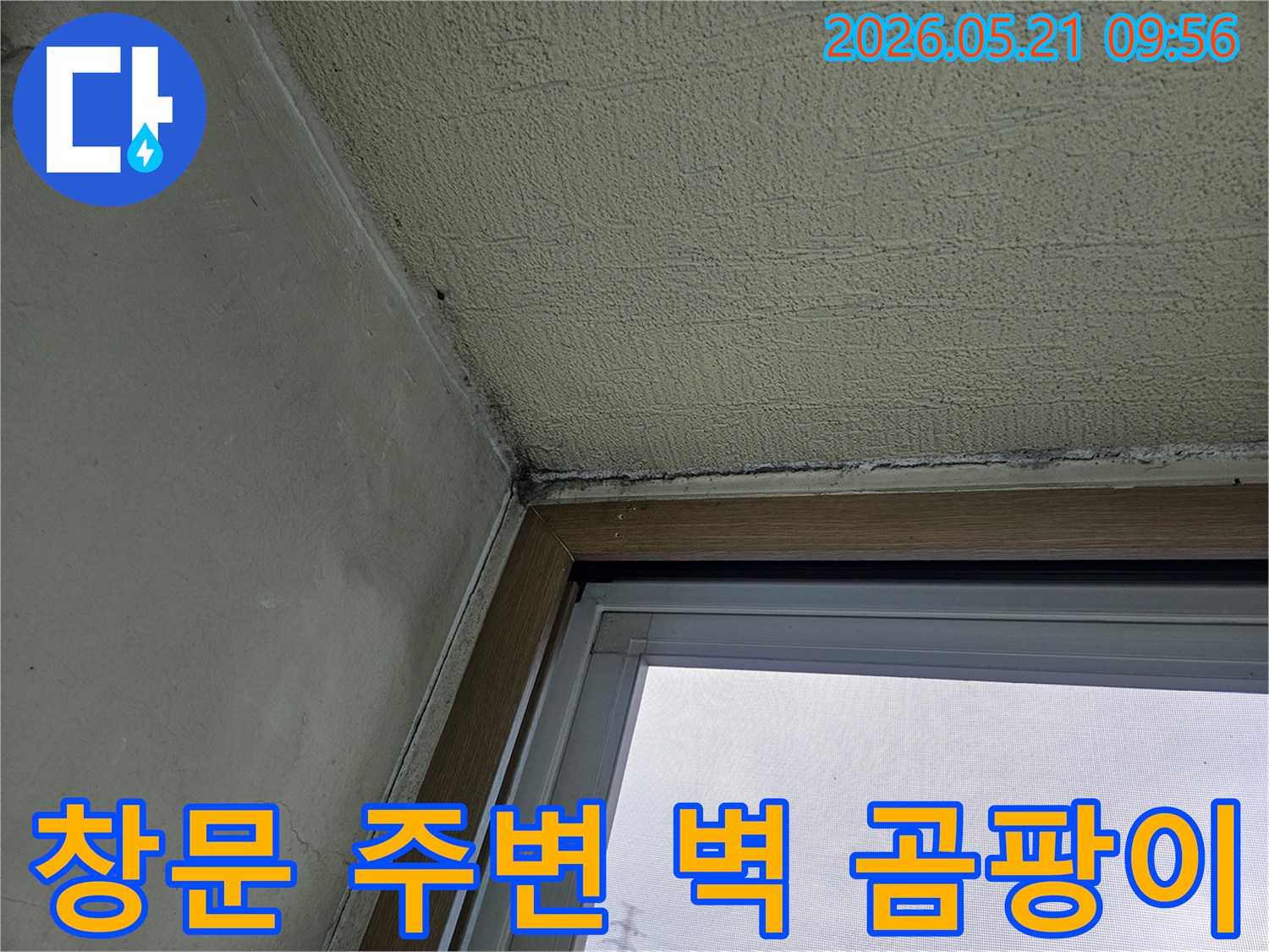 창문과 인접한 벽면에 발생한-곰팡이와-물기로 인한 손상을 보여주는-아파트 내부 벽의 모습