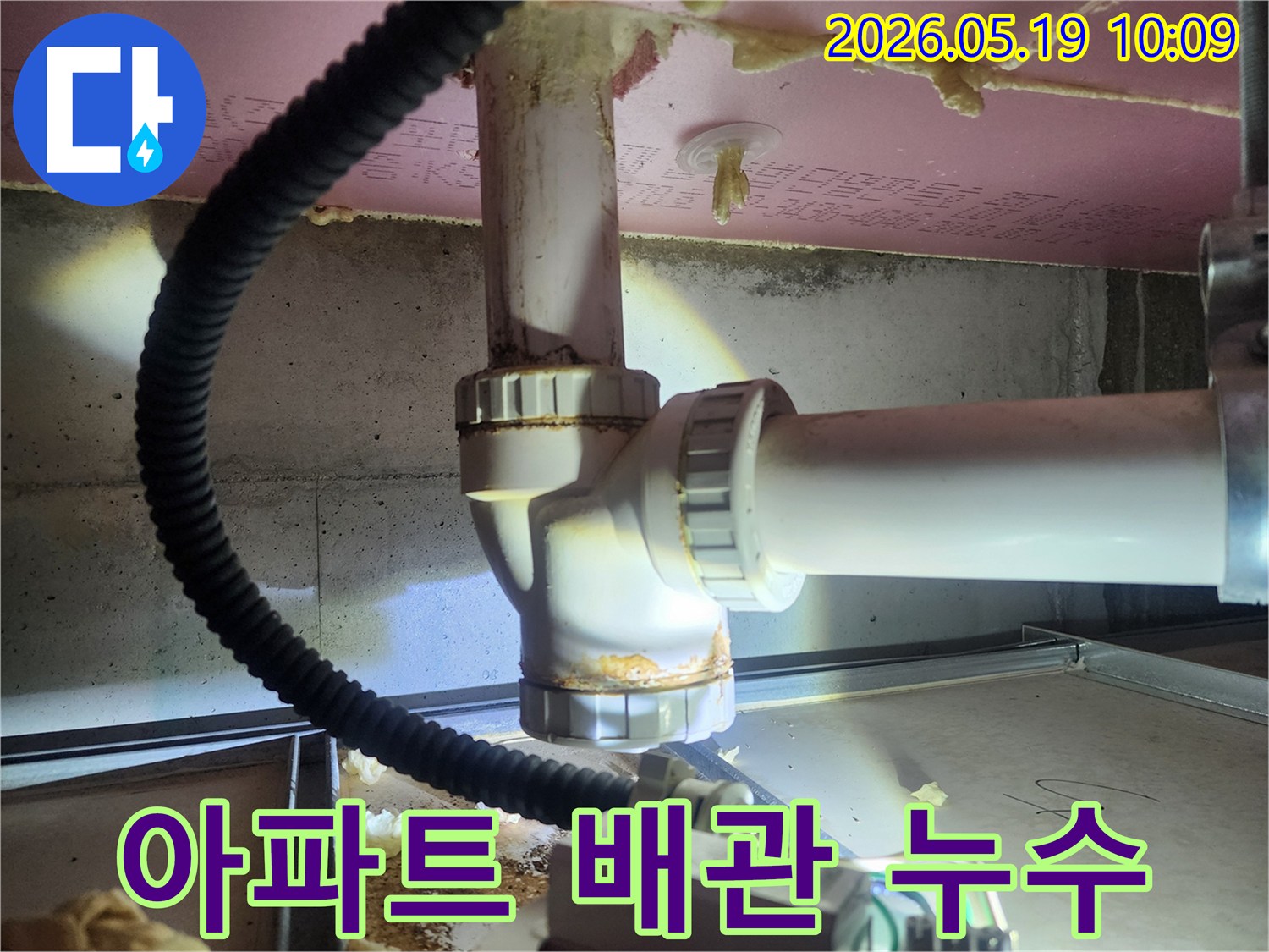 누수 엔지니어가 배관의 연결 상태와 부식 정도를 면밀히 검토하여-누수의 근본적인 원인을 파악하고 있습니다