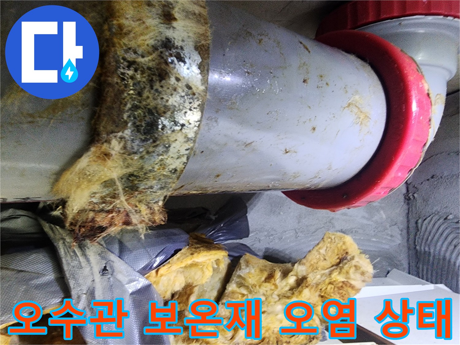 오수 배관 연결 부위의 젖은 보온재와 오염된 상태를 보여주는 사진입니다.