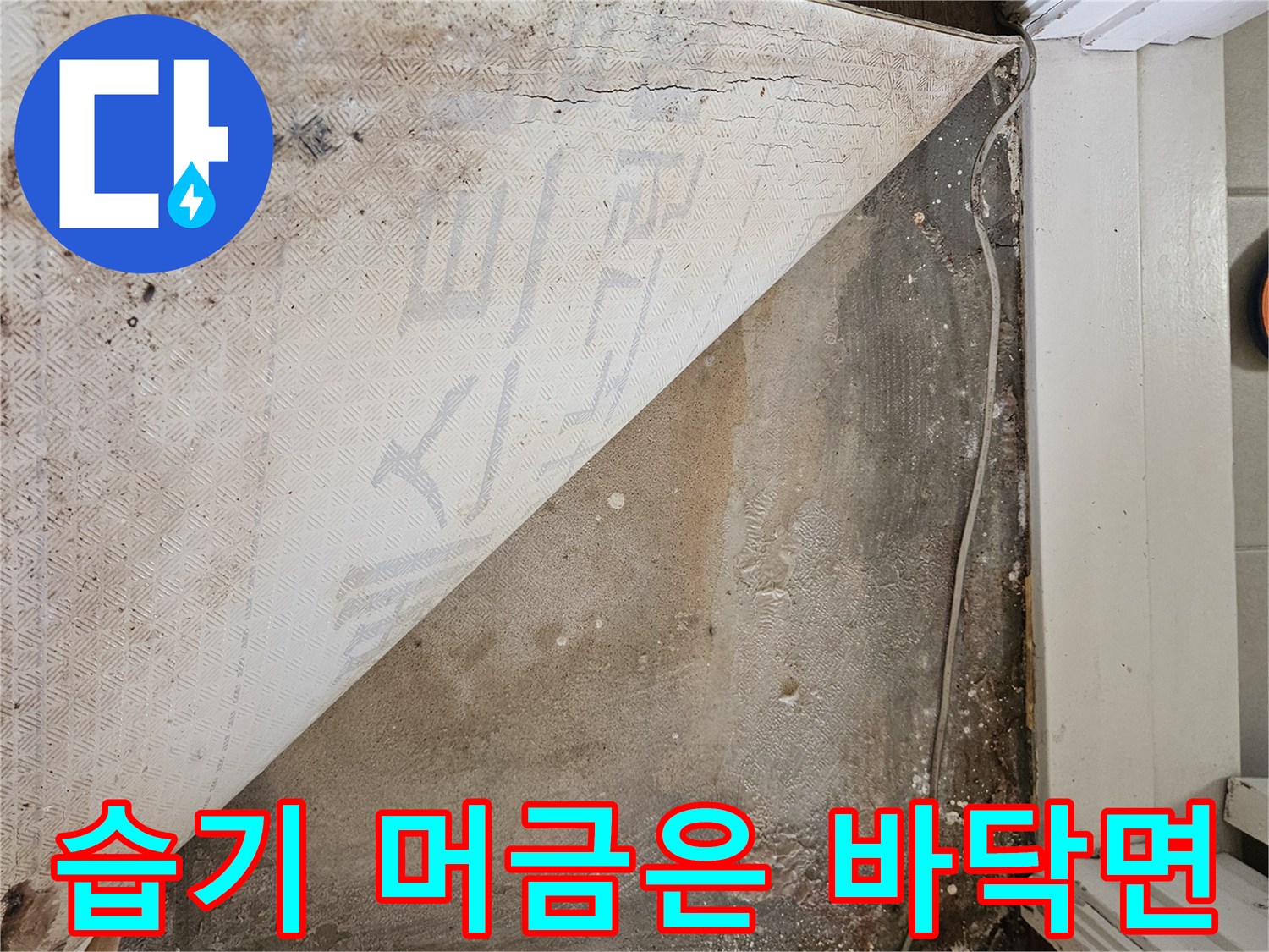 길동 아파트 현장-젖어있는 바닥 기초 콘크리트 모습