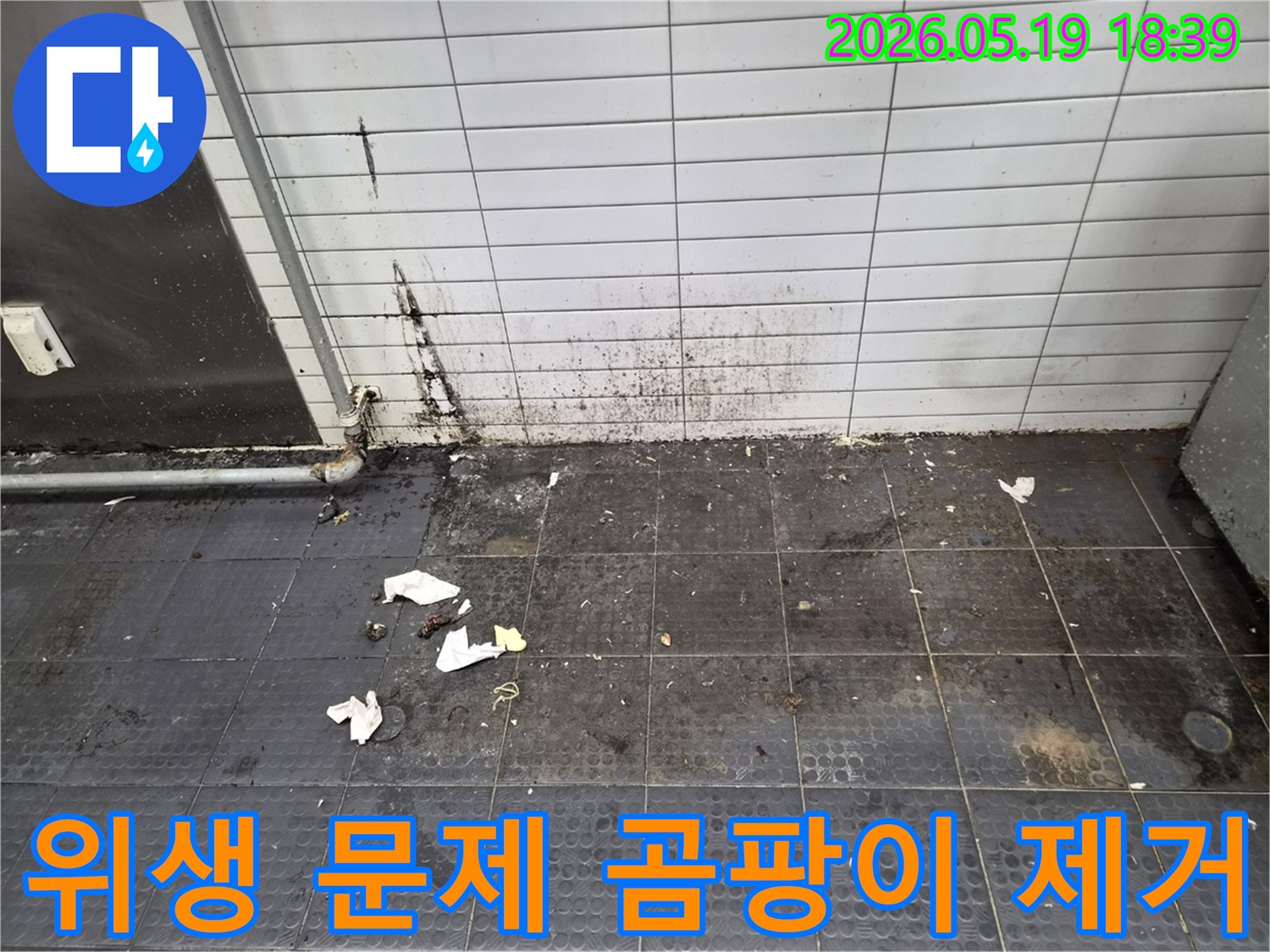 누수로 인해 벽면과 바닥 타일에 심각한 곰팡이가 발생하여-위생 문제가 심각한 현장으로 곰팡이 제거가 시급