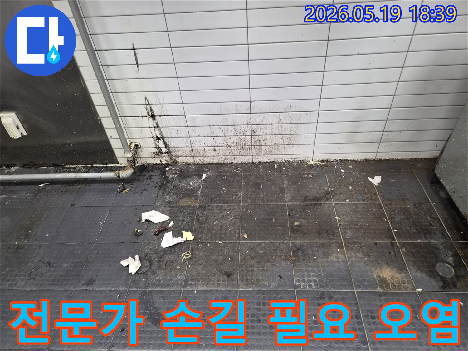 오래된 배관에서 물이 새어-벽면과 바닥에 곰팡이가 심하게 번진 상태로 전문가의 손길이 필요한 현장