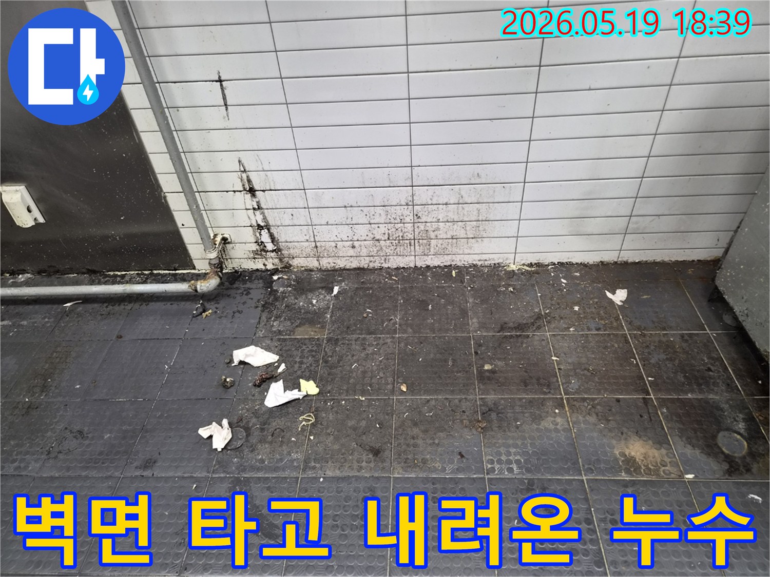 천장 누수로 인해 벽면을 타고 내려와-하단부 타일과 바닥까지 오염시킨 현장