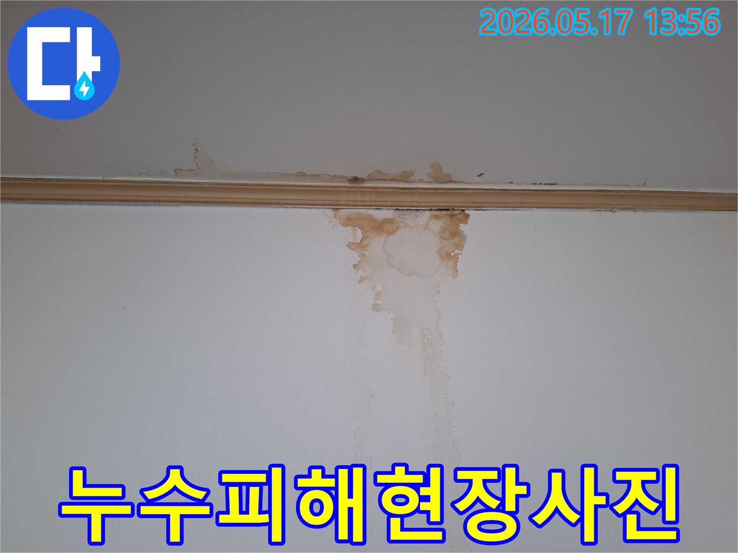 물방울이-떨어진-자국과-곰팡이가-시작되는-천장-및-벽면-누수-현장