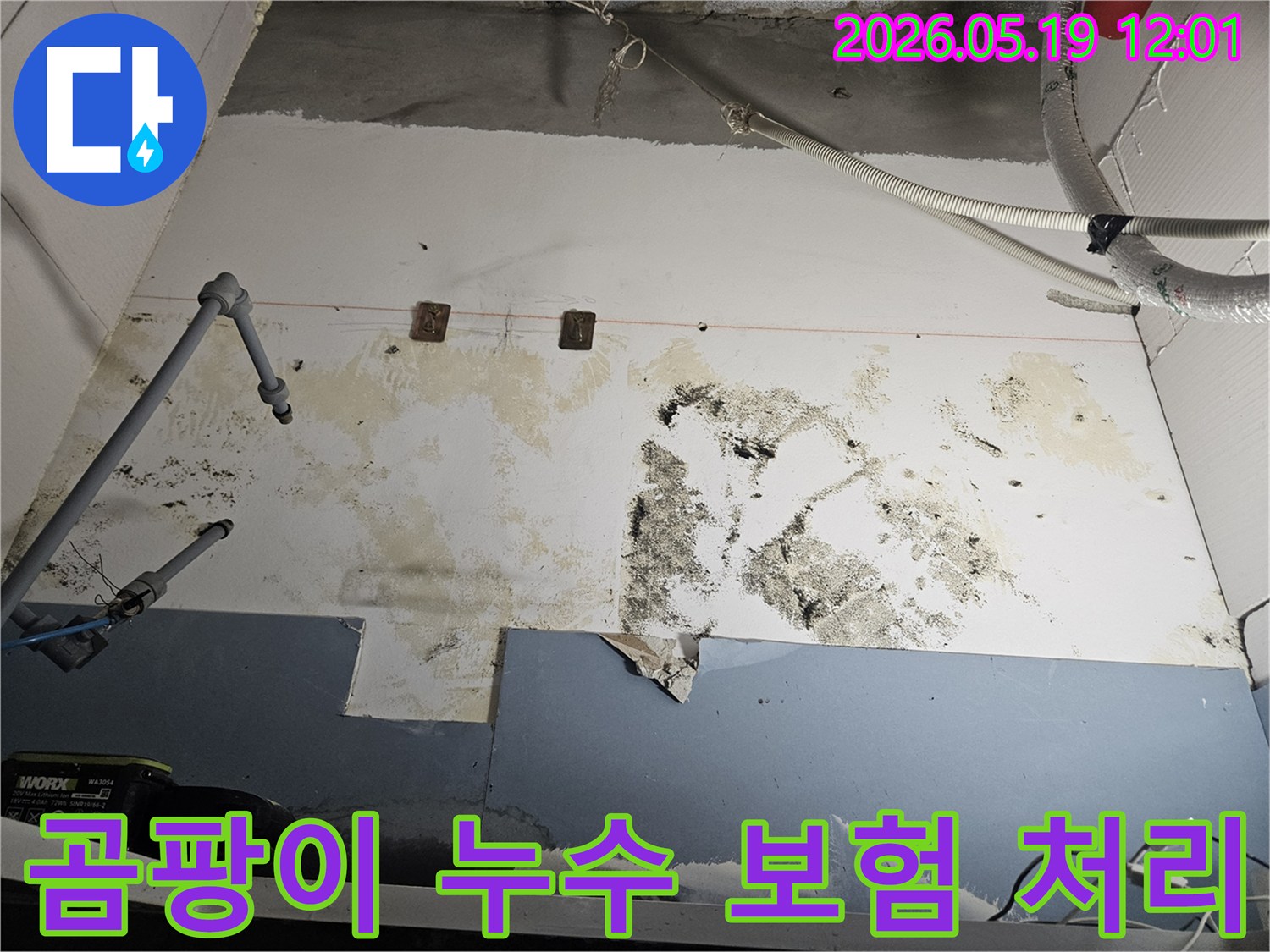 누수로-인해-벽면에-발생한-곰팡이-오염을-누수-보험으로-처리하는-과정을-설명하는-사진