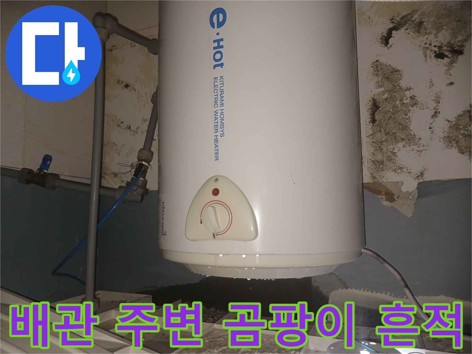 온수기-주변-벽면의-심한-곰팡이와-습기-상태