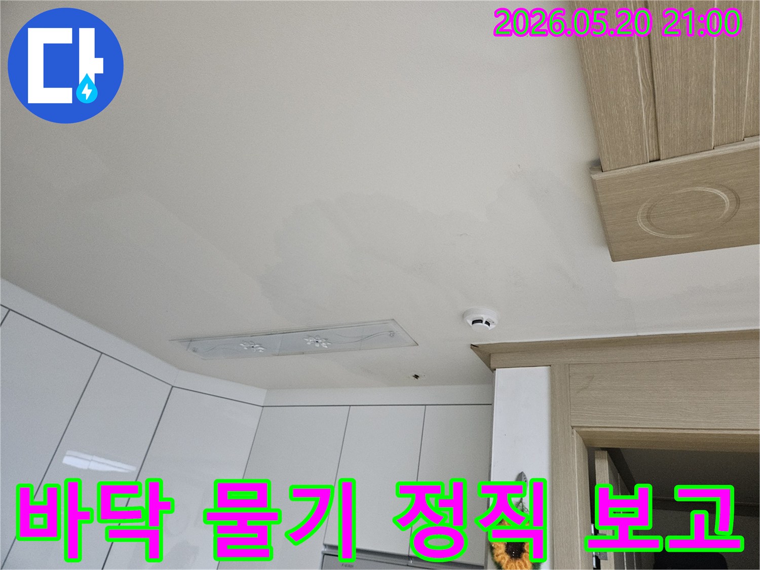 바닥에-고인-물기를-누수-탐지-전문가가-정직한-보고서를-위해-현장을-분석하고-있는-모습입니다