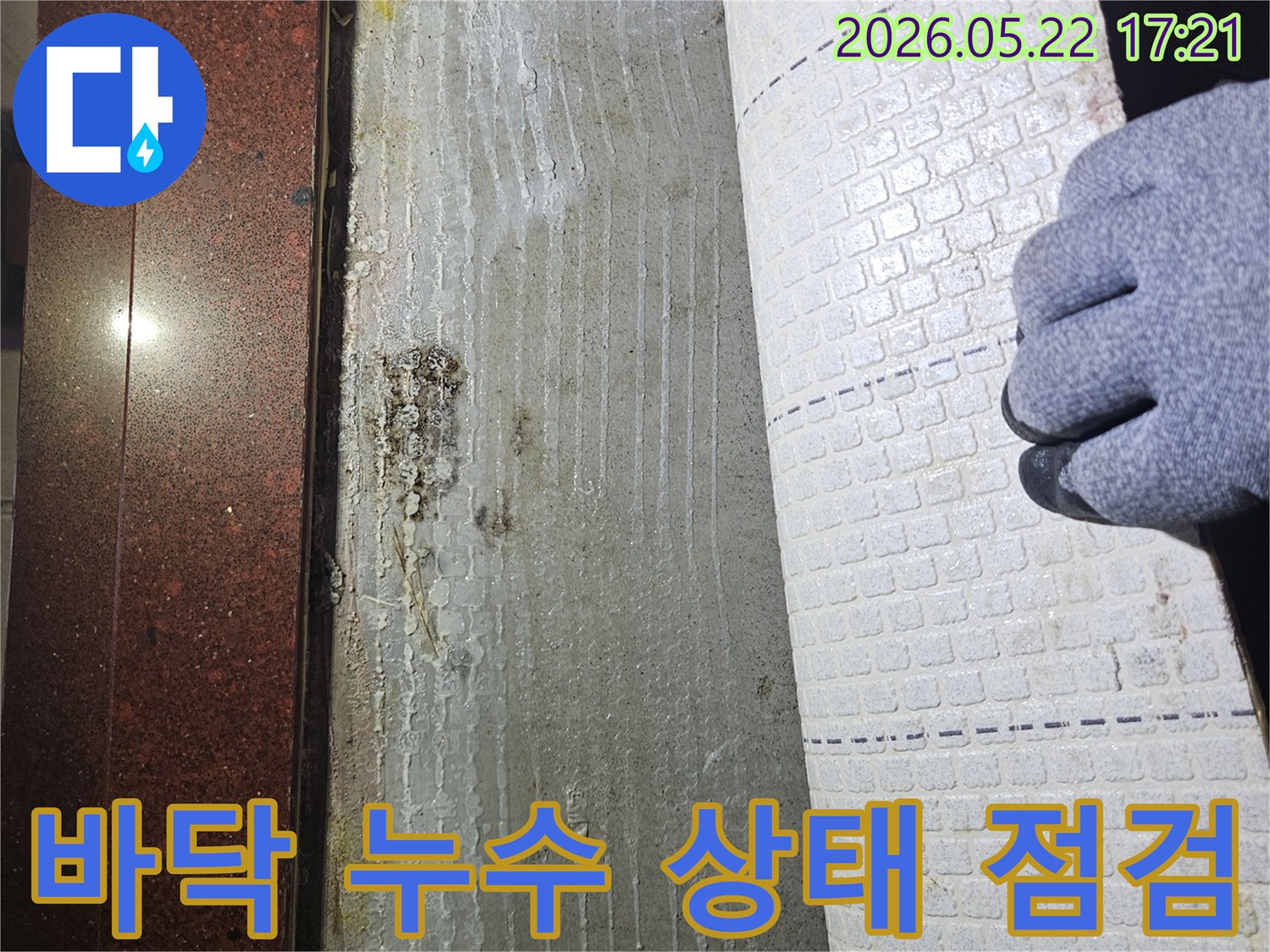 누수-전문가가-장판을-걷어내고-발견한-바닥의-물기와-곰팡이-오염-상태를-자세히-확인하는-모습입니다