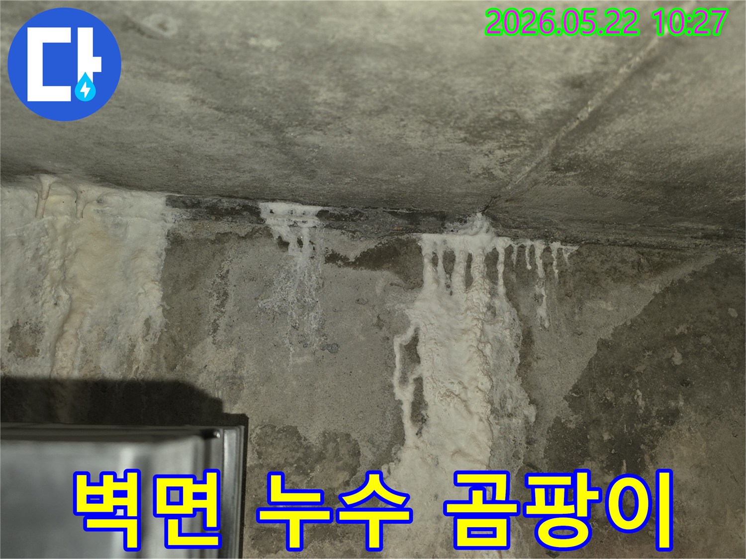오래된 건물에서-자주 발견되는-물샘으로 인한-벽면 손상과-곰팡이-발생-초기 단계입니다