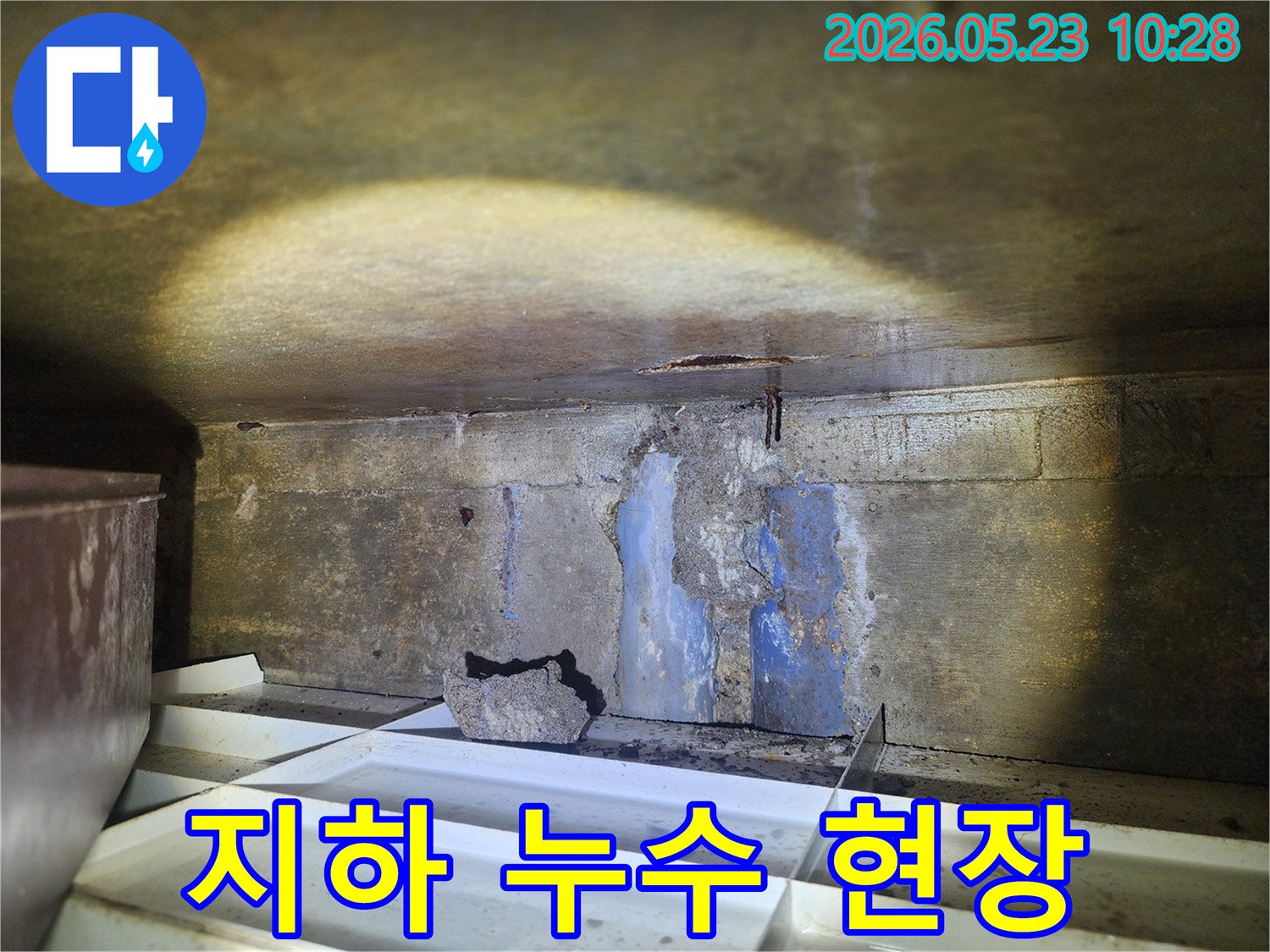 어두운-지하-공간의-천장과-벽면에서-물이-새고-있으며-바닥에-물받이가-놓인-누수-현장