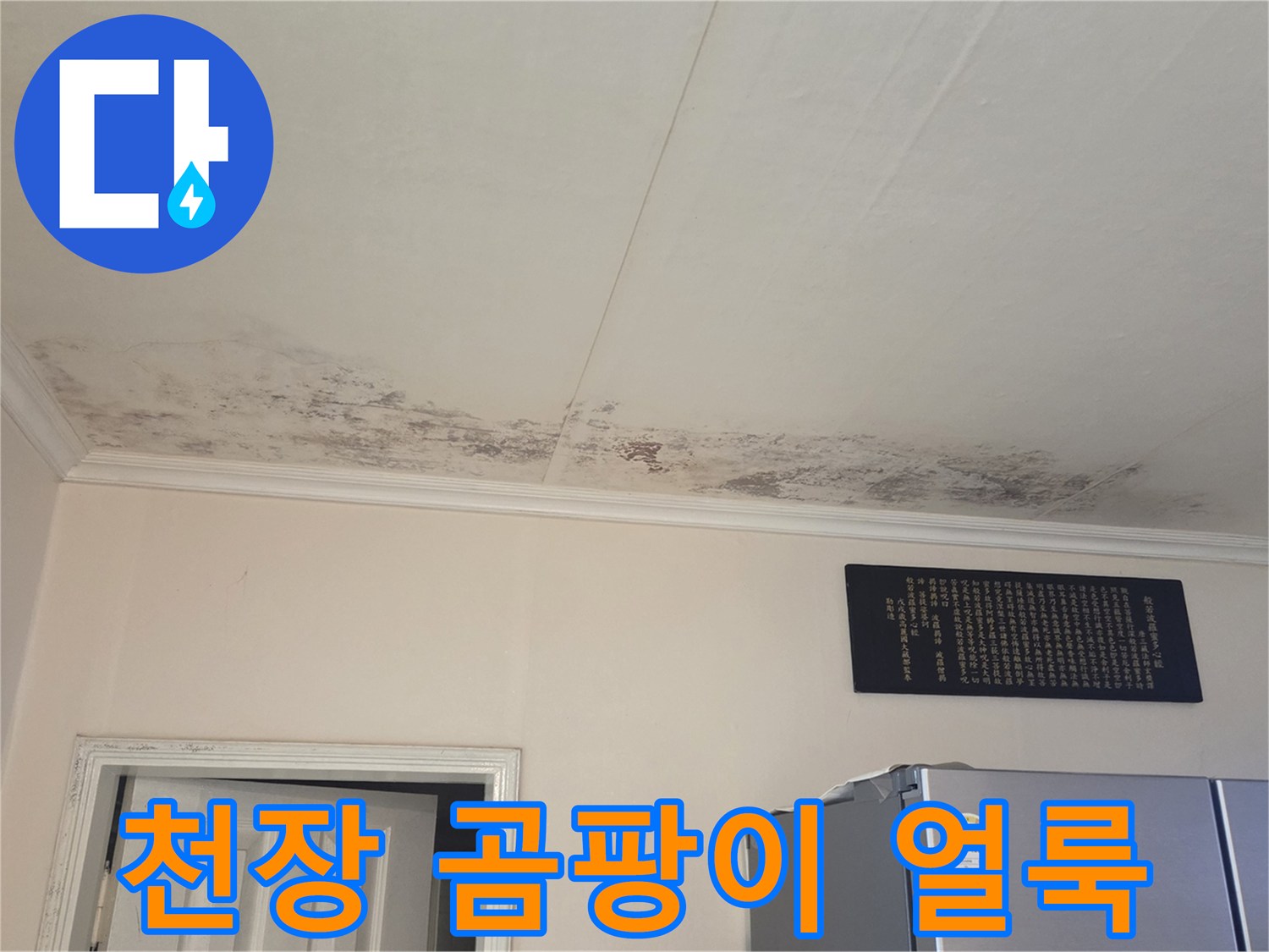 아파트 화장실 입구 천장에 발생한 광범위한 곰팡이와 물자국 현상
