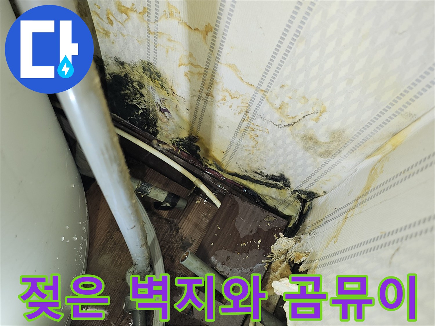 배관-주변-벽지가-습기로-인해-변색되고-곰팡이가-생긴-모습