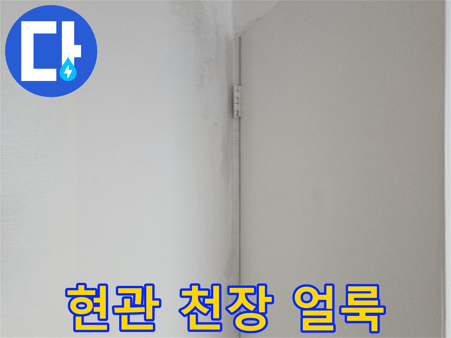 아랫집 현관 천장에 발생한 넓은 누수 흔적과 변색 상태