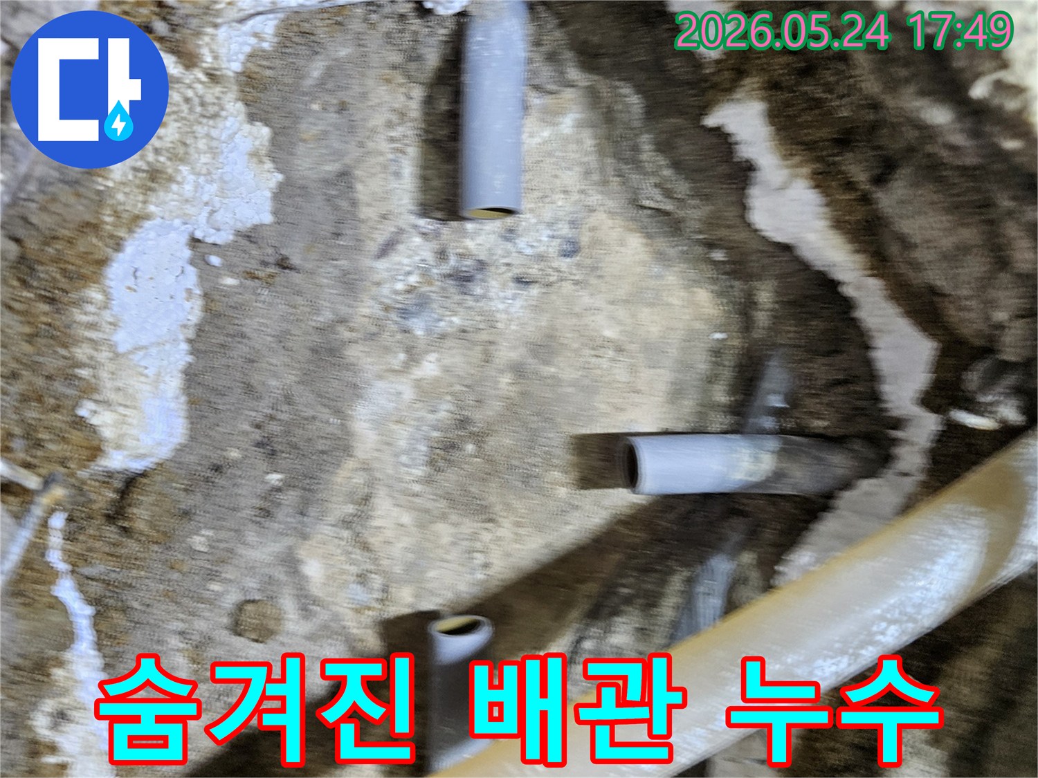 정밀 탐지를 통해 바닥 아래 숨겨진 배관 누수 지점을 찾아내어-굴착한 현장과 손상된 배관이 드러나 있습니다