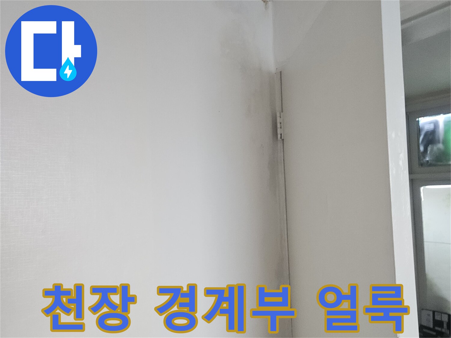 현관 천장 마감재의 습기 젖은 부위
