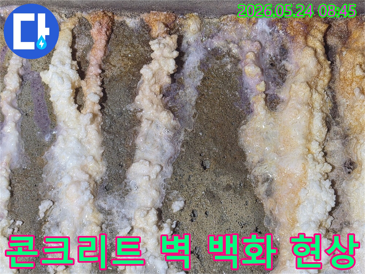 상가-건물-콘크리트-벽면에-발생한-심한-백화현상과-누수-자국
