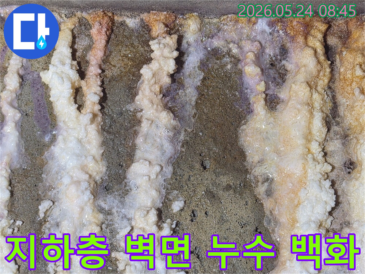 아파트-지하층-벽면에-장기간-누적으로-발생한-심각한-백화현상과-습기-흔적