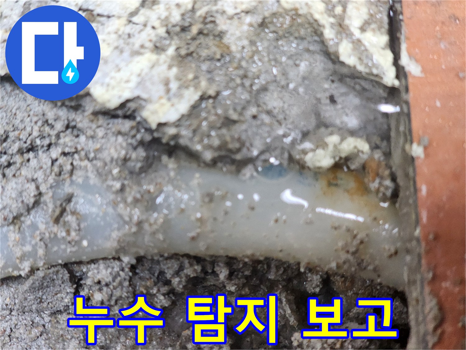 전문가가-정밀-탐지로-누수-지점을-정확히-보고한-현장입니다