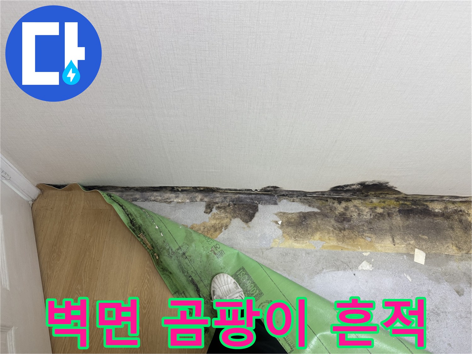 송파구 아파트-벽지 하단부의 검은 곰팡이와 습기 오염 상태