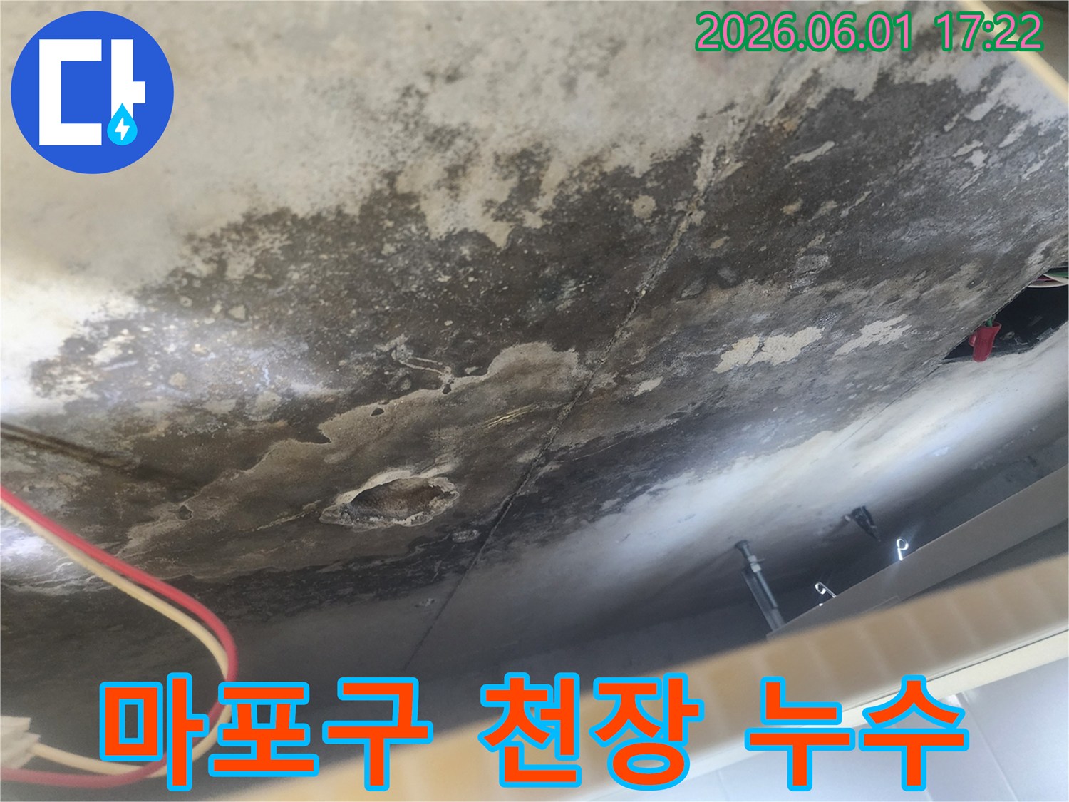 천장 콘크리트 표면에-심한 물자국과-검은 곰팡이가-번식한 모습으로-누수 피해의-심각성을 보여줍니다.