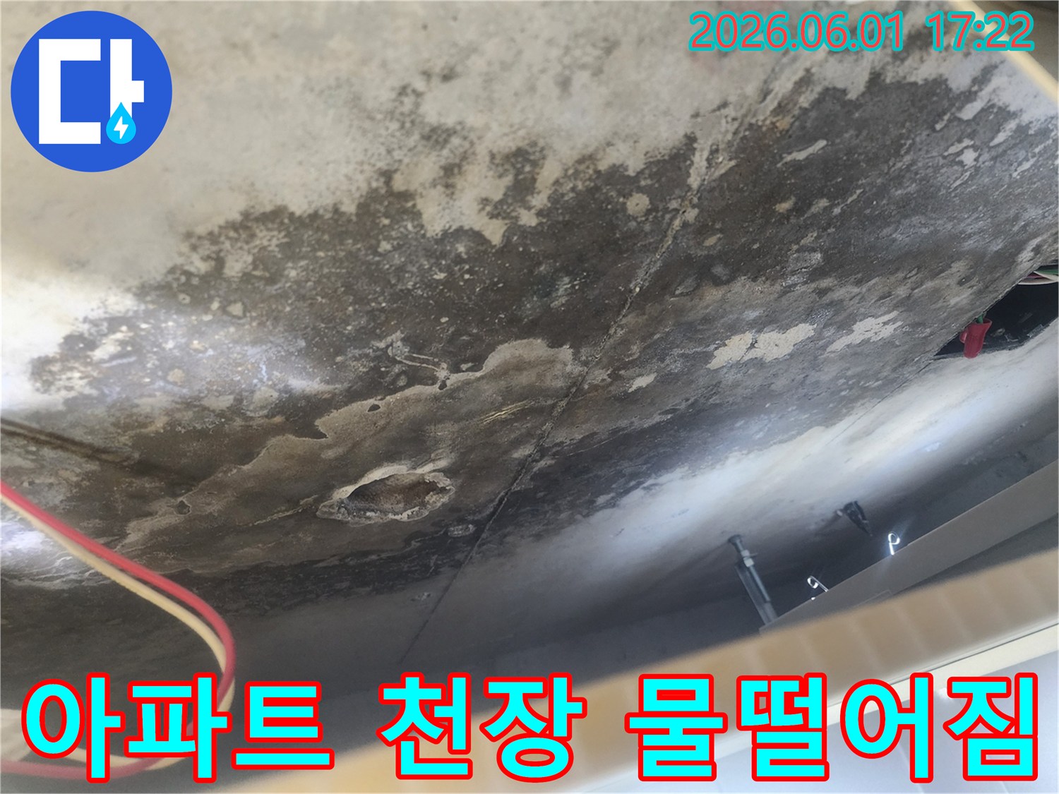 천장 콘크리트가-물에 젖어있고-오랜 누수로 인해-검은 곰팡이가-광범위하게-퍼져있는 모습입니다.
