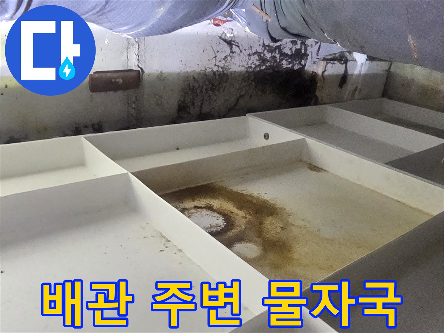 천장-내부-배관-연결부-주변의-심한-변색과-오염
