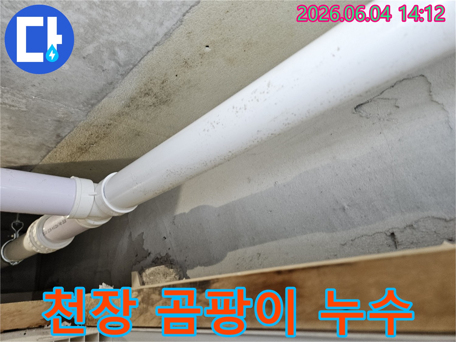 천장-콘크리트-벽면에-발생한-심각한-곰팡이-오염과-배관-주변의-누수-흔적을-보여주는-사진