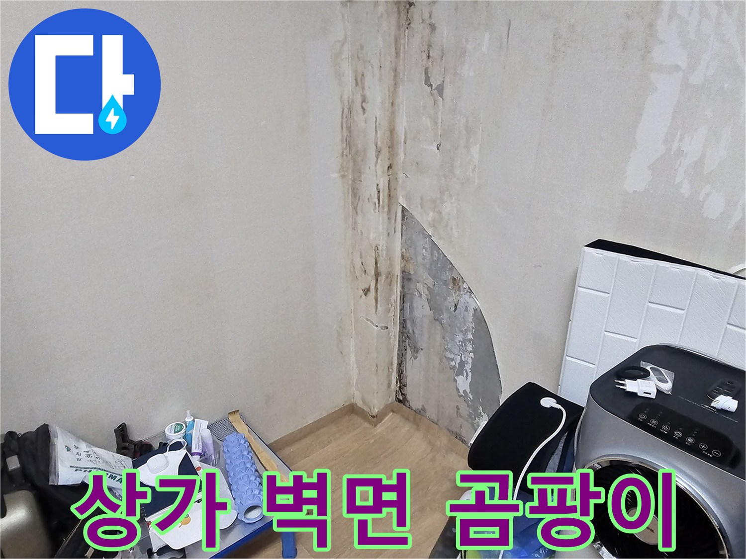 용인 수지구 상가 내부의 물샘으로 인한 벽면 곰팡이와 훼손 상태