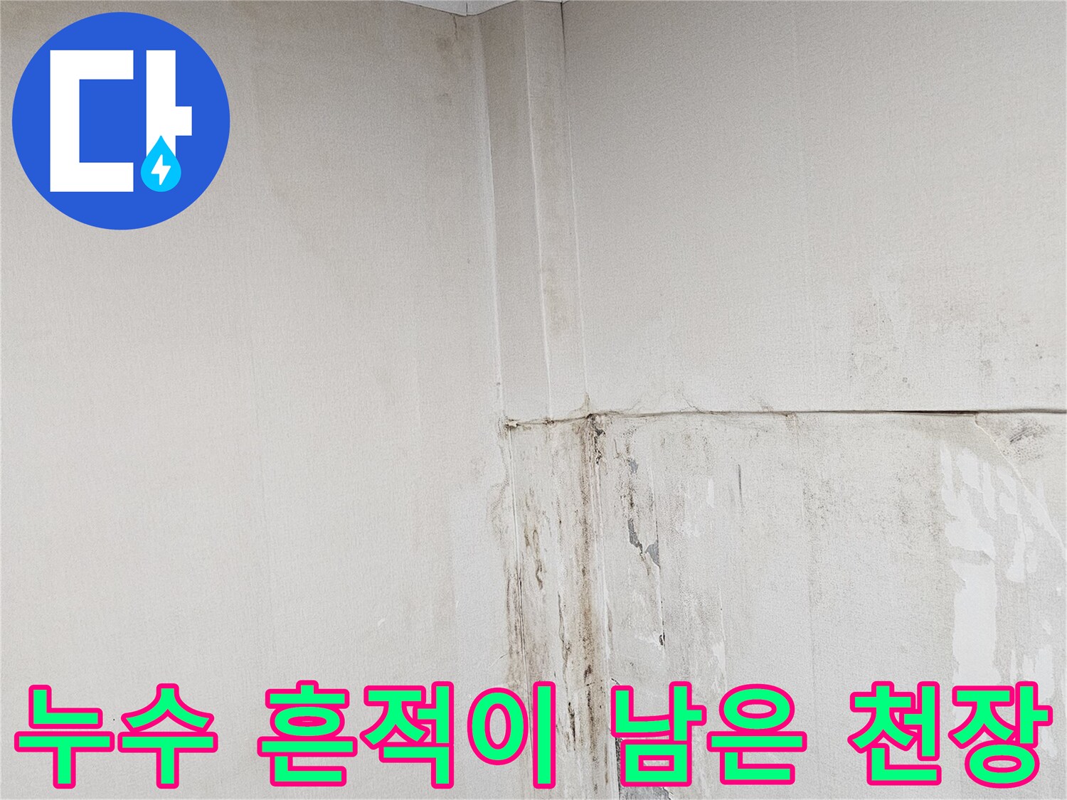 천장과 벽이 만나는 모서리 부위의 심각한 침수 피해 상태