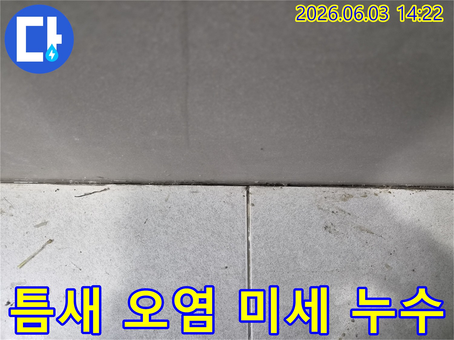 누수-탐지-전문가가-발견한-타일-틈새의-오염-상태