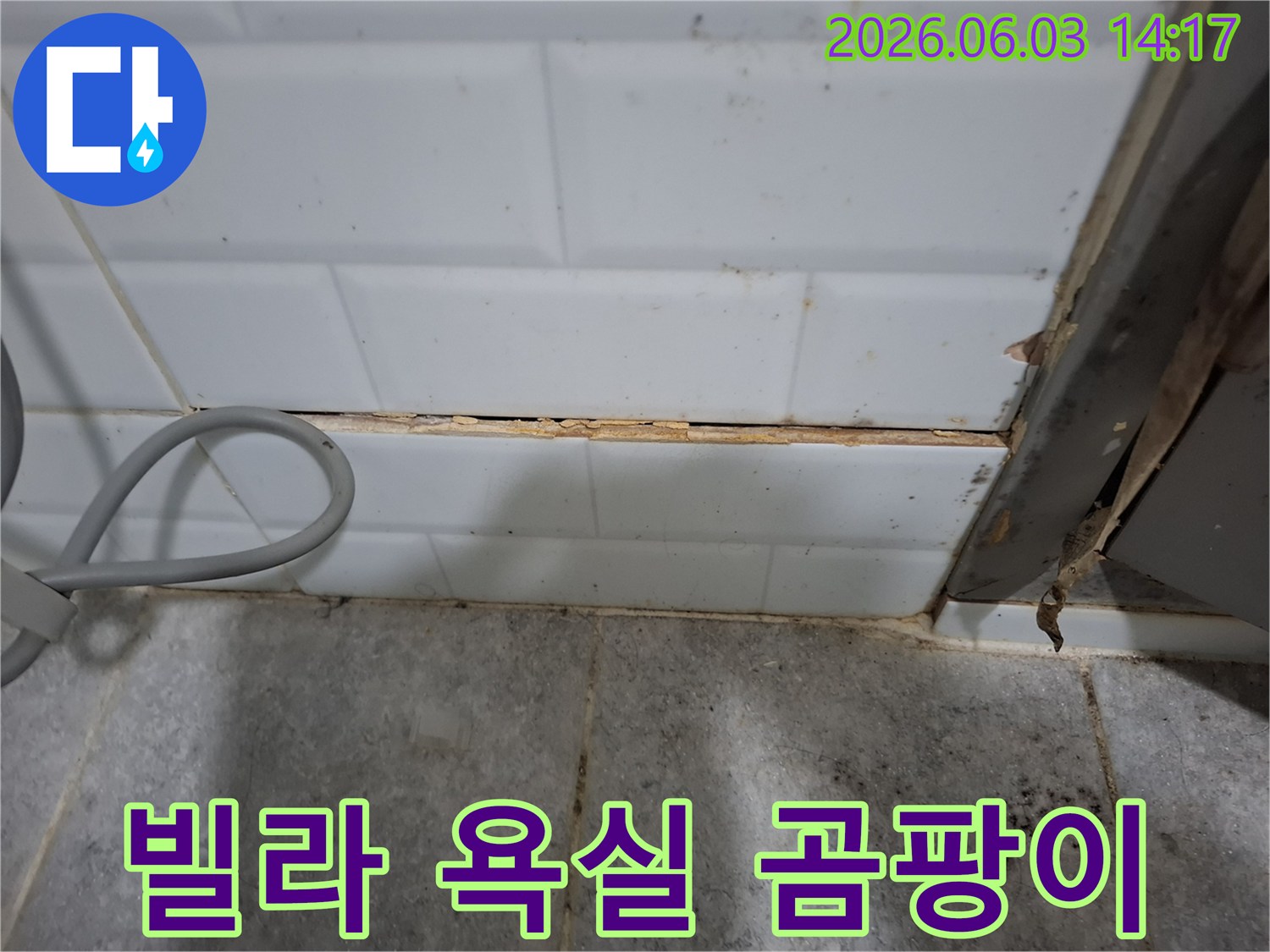 빌라-욕실-타일-틈새에-곰팡이가-발생한-누수-현장의-모습입니다