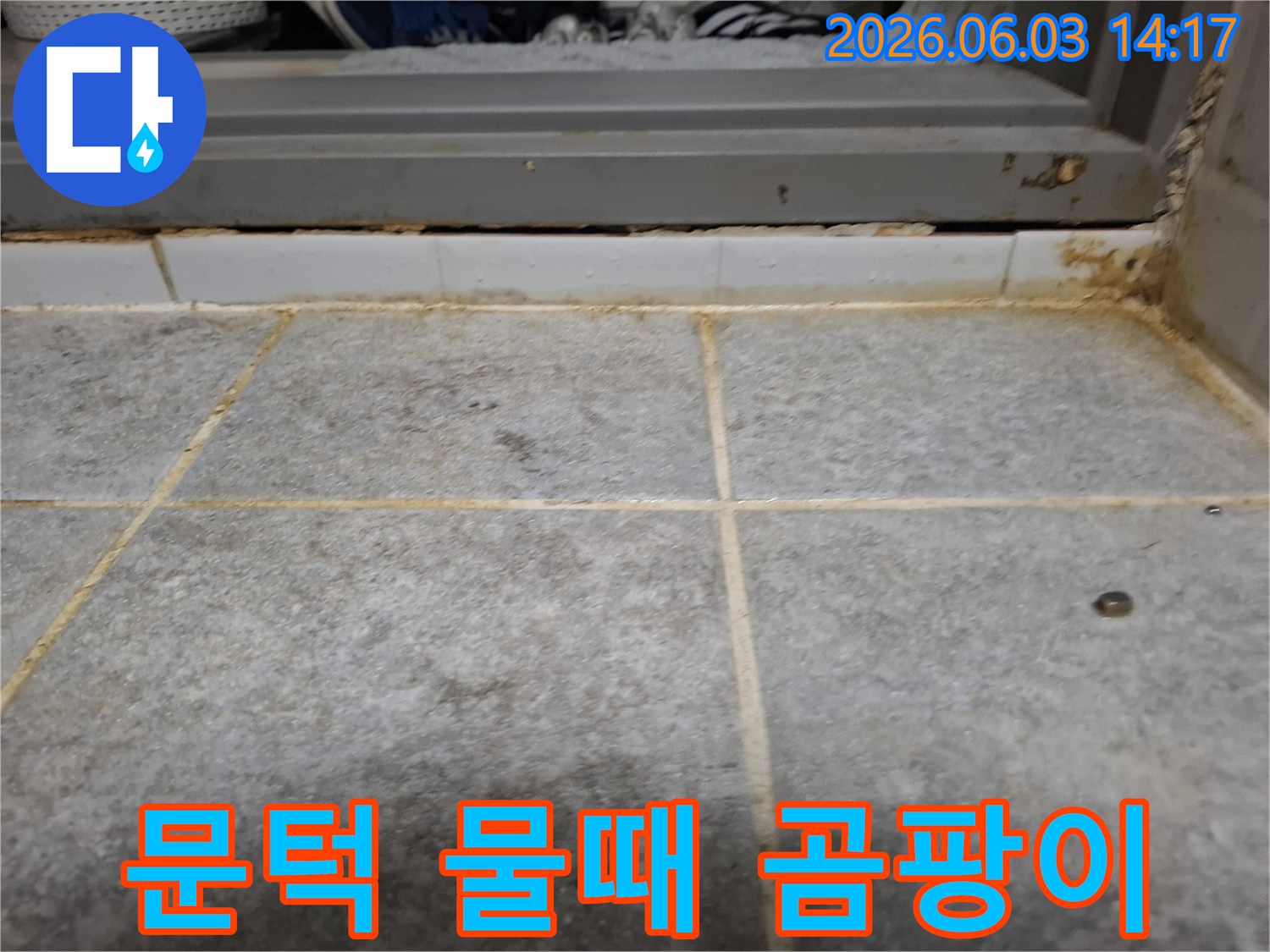 욕실 문턱 하단부와 인접한 타일 줄눈에 발생한-광범위한 물때와 곰팡이 오염을 보여주는 모습입니다.